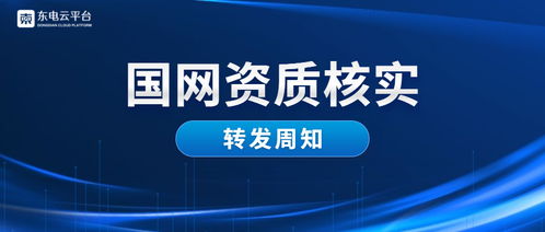 国网资质核实 关于2019年财务信息审核与网络信息安全软件开发要求的通知